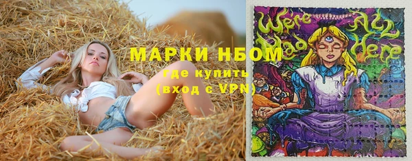 PSILOCYBIN Зеленокумск