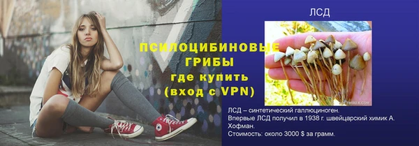 ГАЛЛЮЦИНОГЕННЫЕ ГРИБЫ Инсар