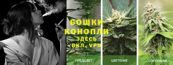 ГАЛЛЮЦИНОГЕННЫЕ ГРИБЫ Инсар