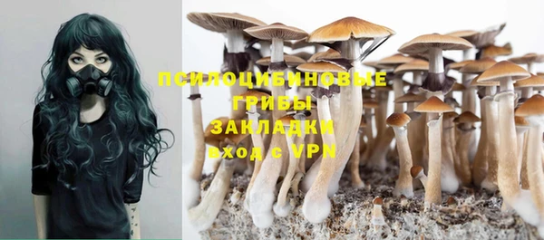 PSILOCYBIN Зеленокумск